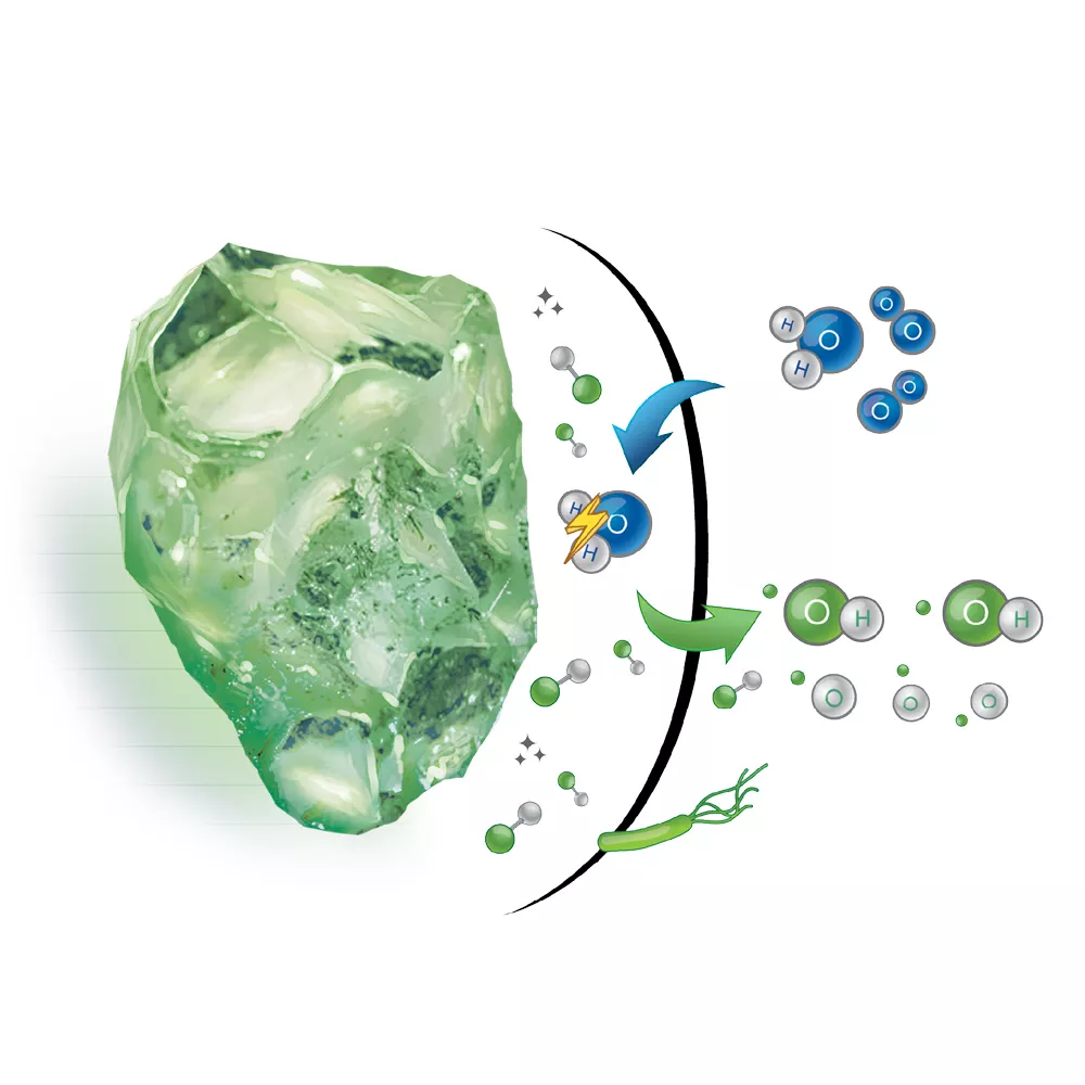 DAISY-schem-website_1