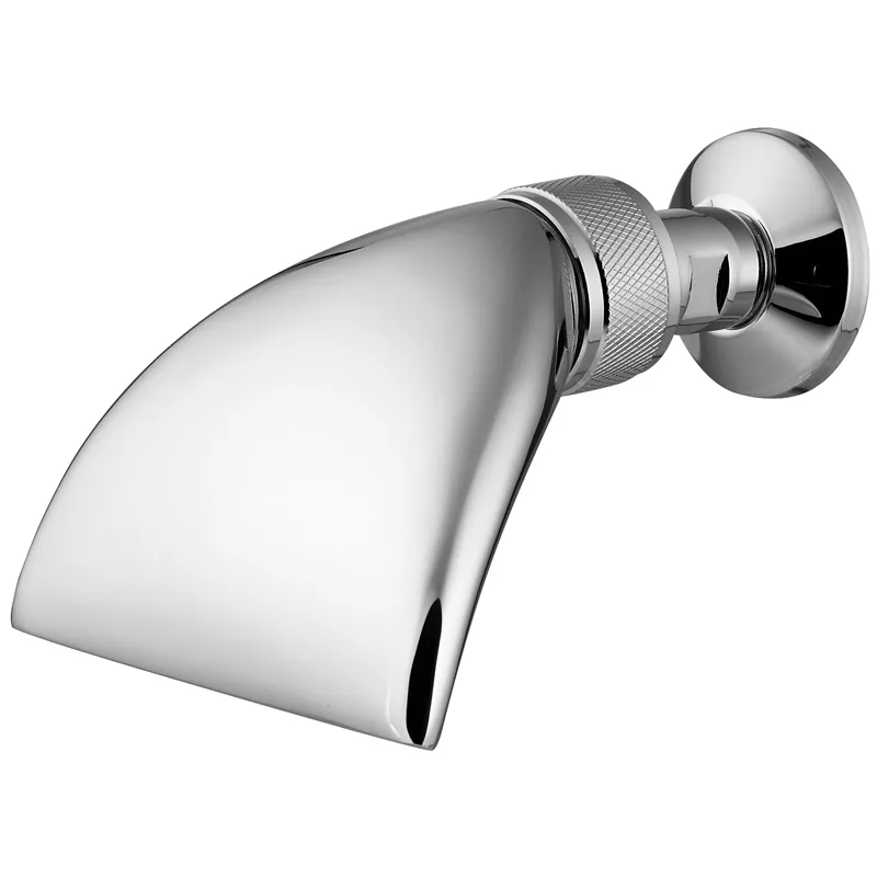 Kneipp Schwallbrause Messing groß 1/2 Zoll