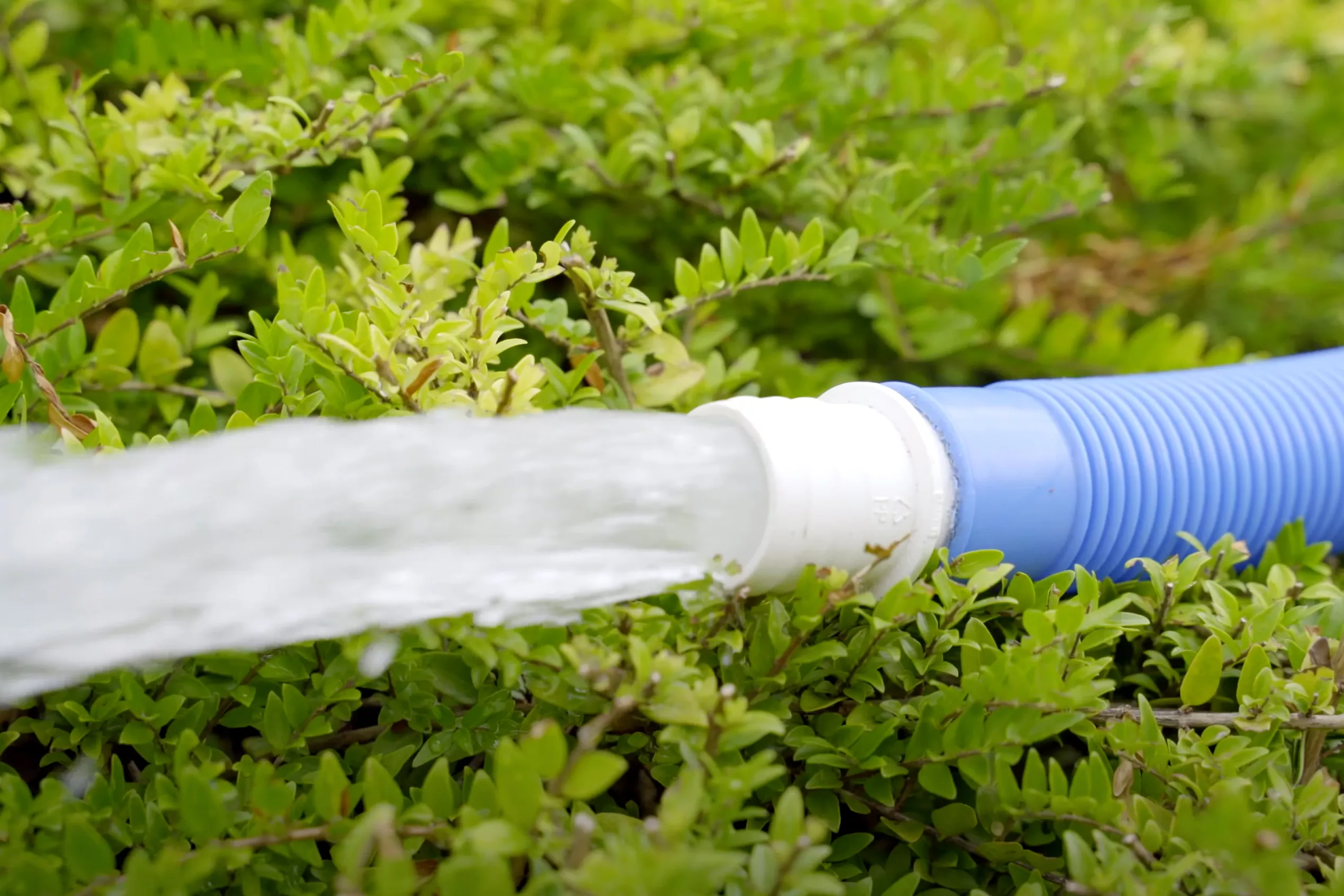 Poolwasser entsorgen: So geht es richtig
