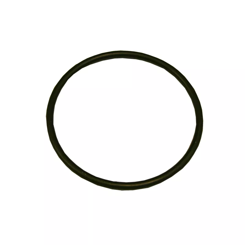 O Ring 63.5 x 5.5 mm f. Spiraleinsatz BADU Star 