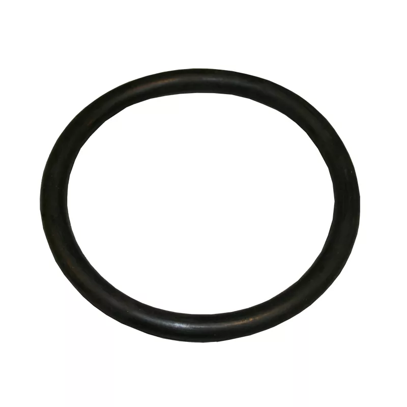 O-Ring f. Astral / Swim-tec UWS KS 4403010304 