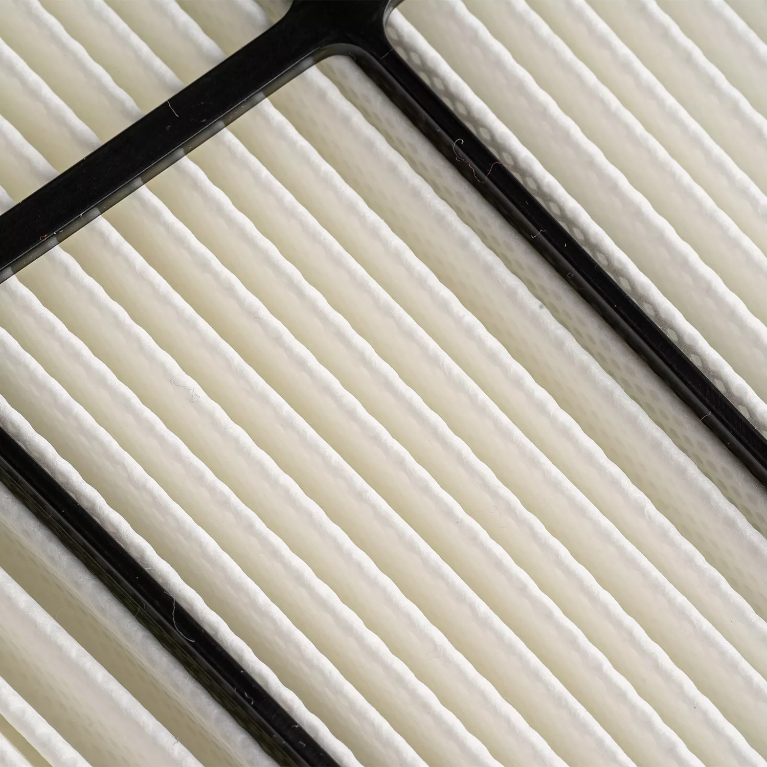 Ersatzfilterkartuschen-fein-fu-r-Dolphin-Scoop-Maestro_2 Dolphin Poolroboter Ersatzfilterkartuschen fein 2011374