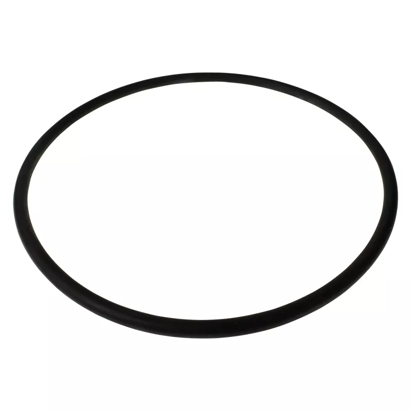 317_E18 O-Ring 154 x 6mm für 6 Wege Top Mount Ventil OKU