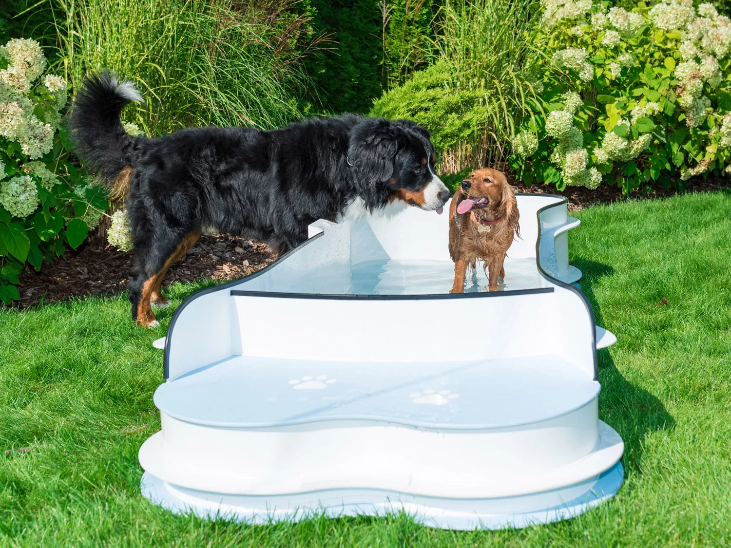 Hundepool_Junior1 Hundepool Standard - Weiß/Blau