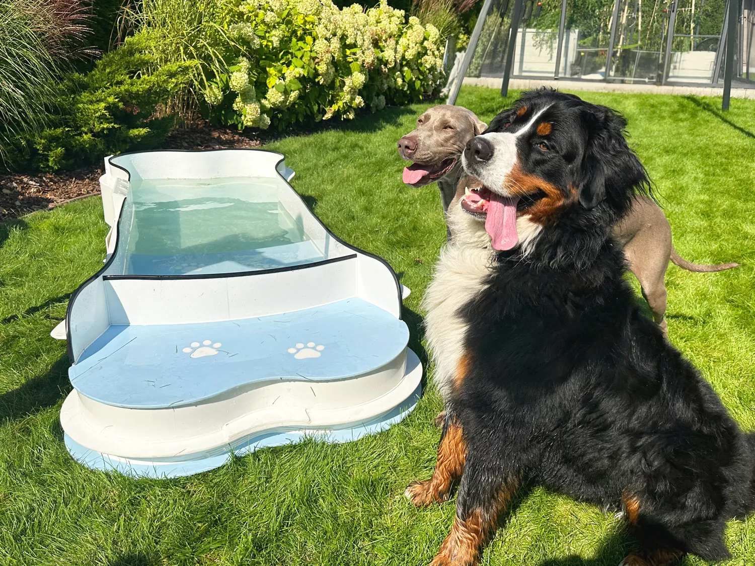 Hundepool_Junior4 Hundepool Standard - Weiß/Blau