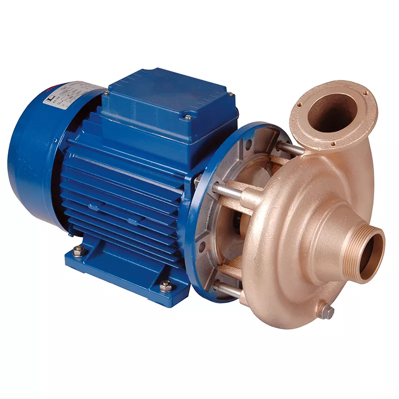 637751050_pic1 Rotguß-Pumpe Fitstar 2,2 kW 230/400V 2"