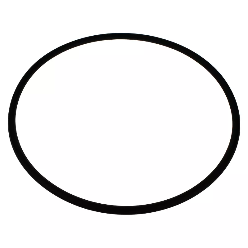 O-Ring für Deckel Europa V4A 2010 etc. D 550 - Sonderposten
