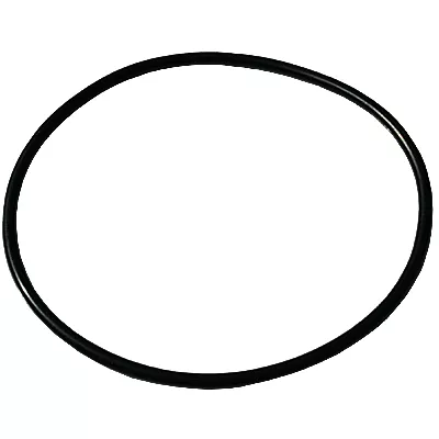 O-Ring Filterdeckel Waterway 805-0360 