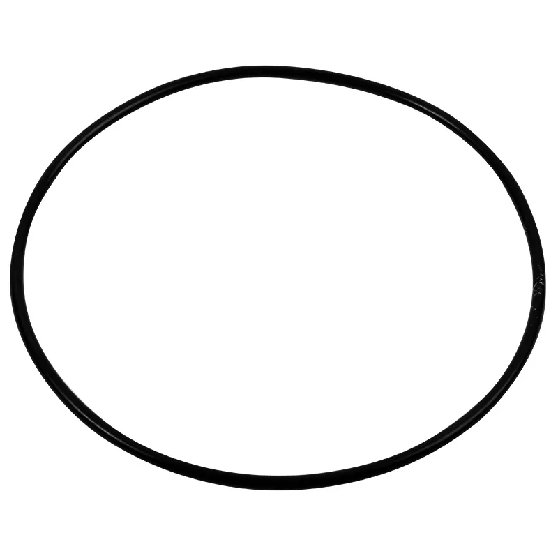 4404070101 O-Ring 231 x 8.5 für Deckel Astral Filtebehälter 4404070101