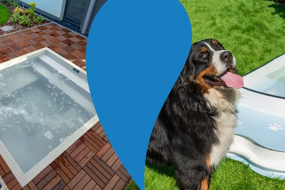 Kinderpool Holzpool Hundepool