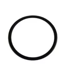 O Ring für Gehäuse Badu Eco Touch 190 mm x 6mm