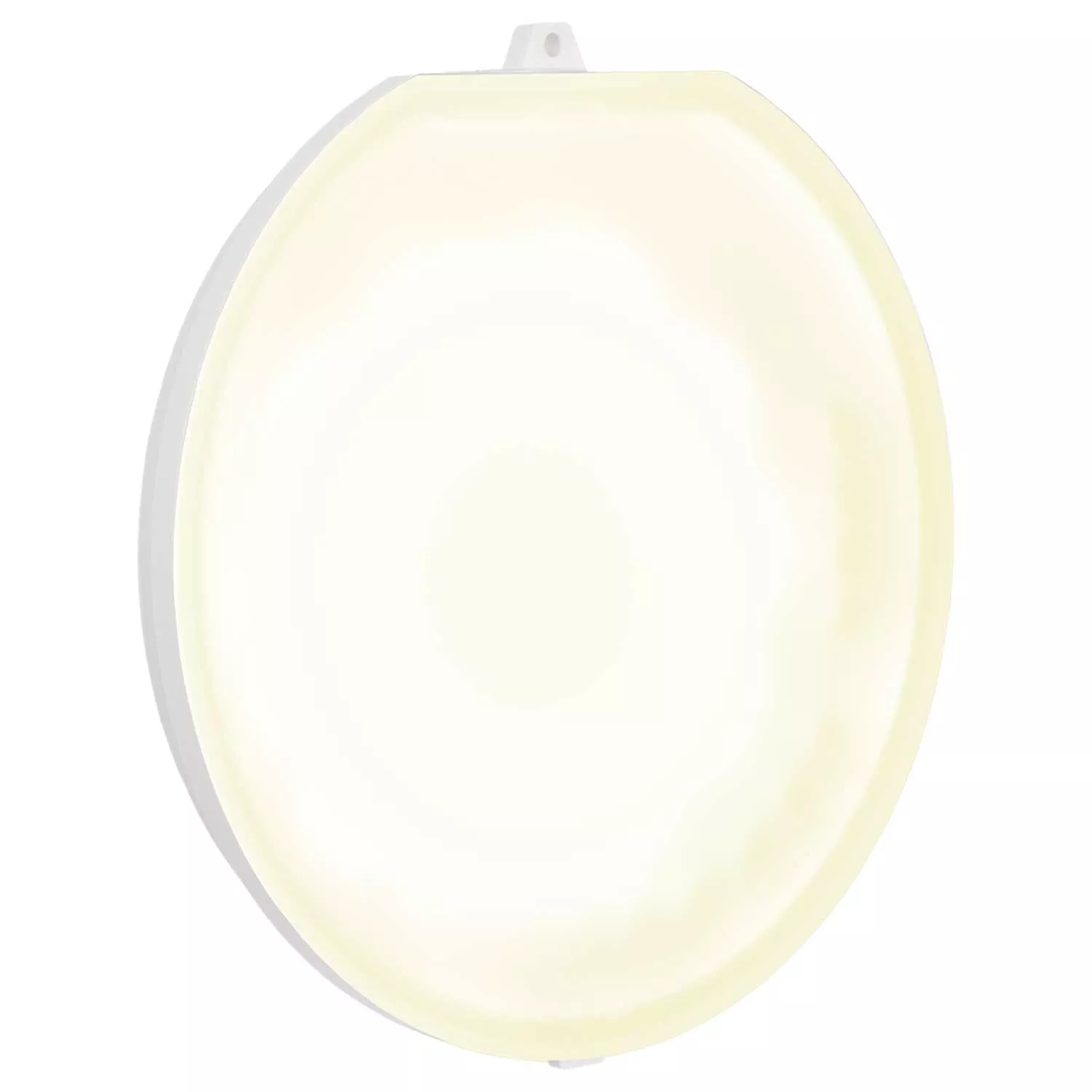 Astralpool LumiPlus Flexi On/Off Leuchtmittel - warmweiß